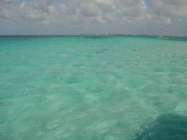 Bild 264