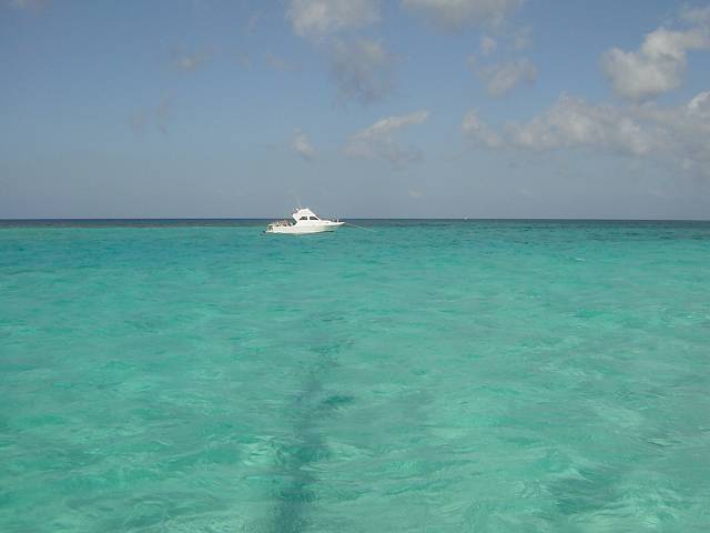 Bild 264