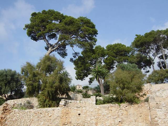 Bild 144