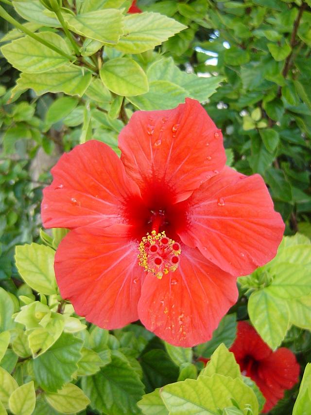 Bild 144