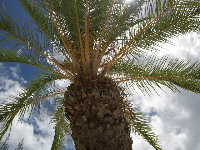 Bild 696