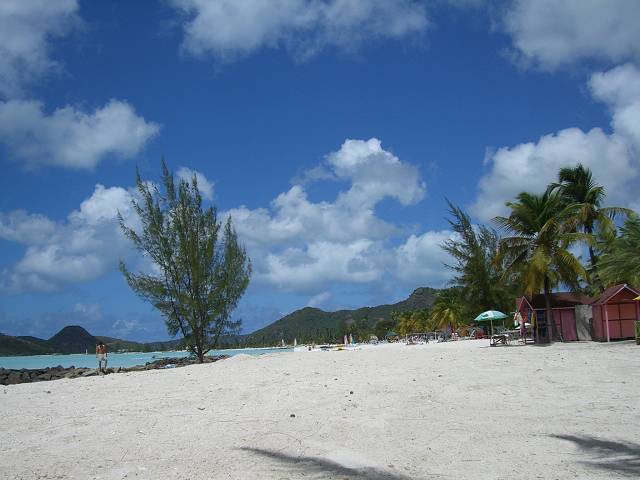 Bild 696