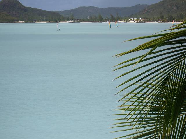 Bild 696