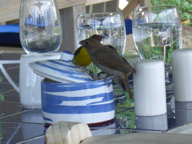 Bild 696