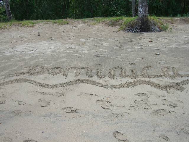 Bild 696
