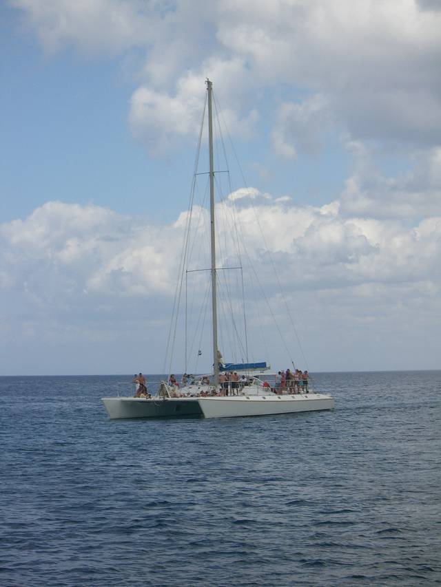 Bild 696