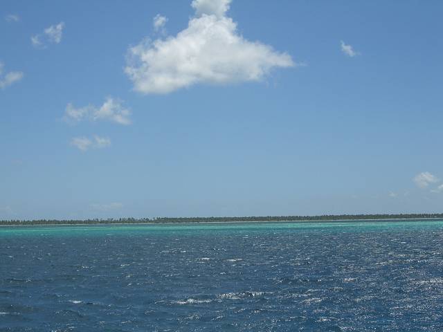 Bild 696