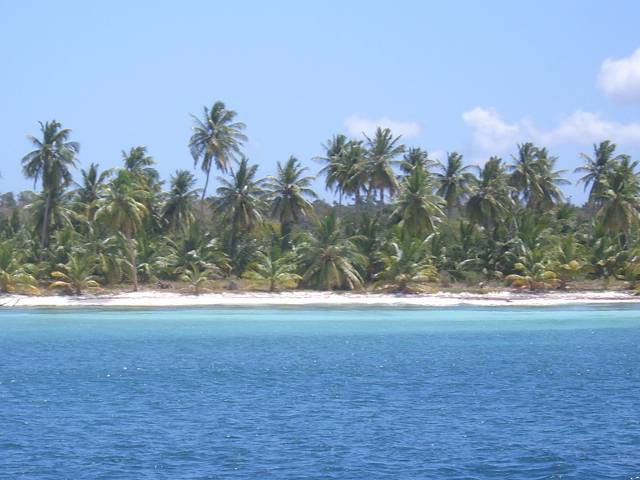Bild 696