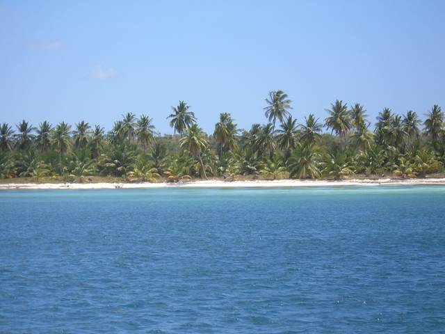 Bild 696