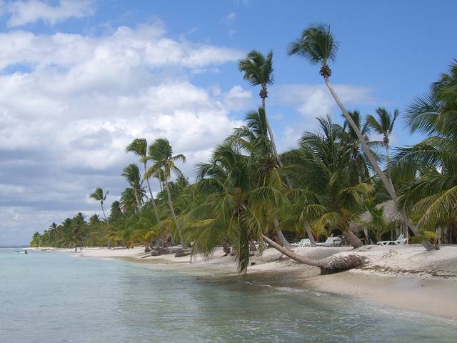 Bild 696