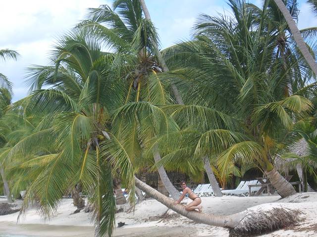 Bild 696