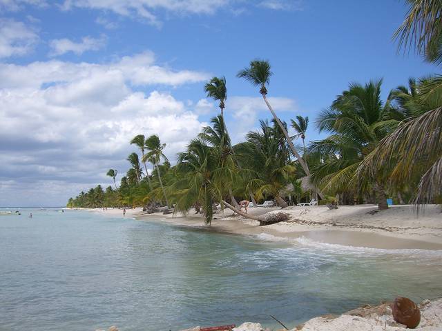 Bild 696