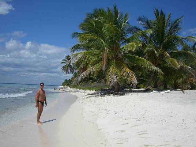Bild 696