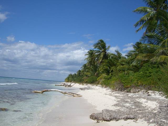 Bild 696