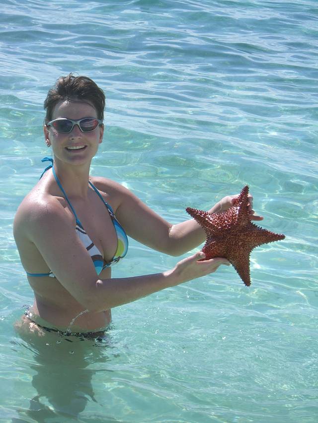 Bild 696