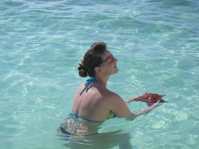 Bild 696