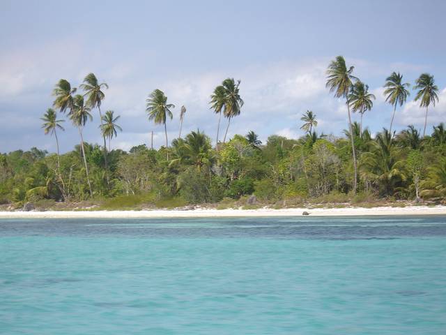 Bild 696
