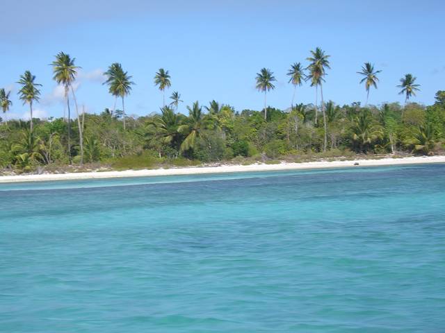 Bild 696
