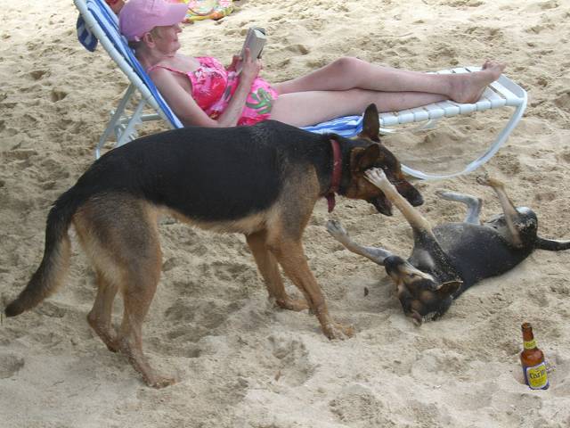 Bild 696