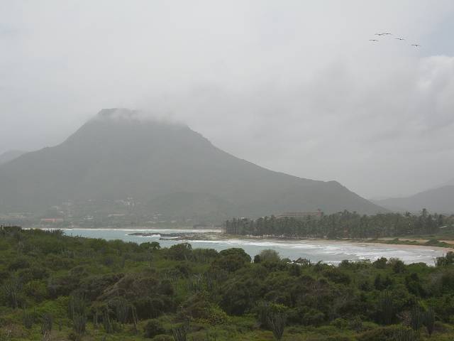 Bild 696