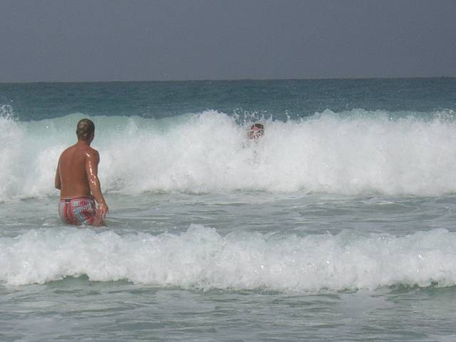 Bild 696