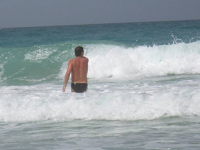 Bild 696