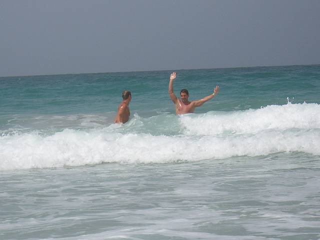 Bild 696