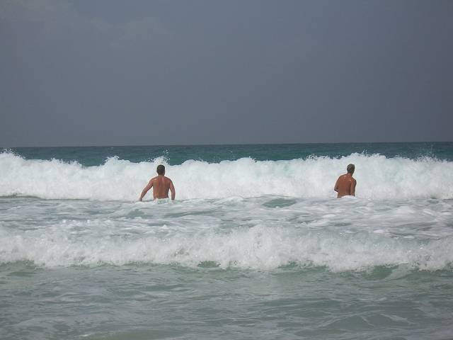 Bild 696