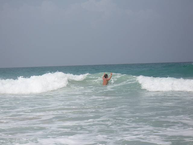 Bild 696