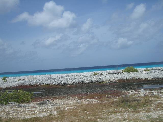 Bild 696