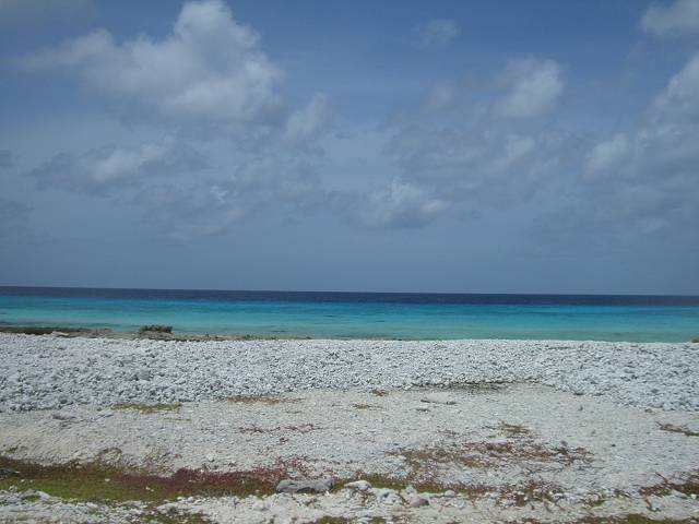 Bild 696
