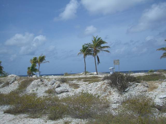 Bild 696