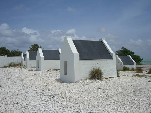 Bild 696