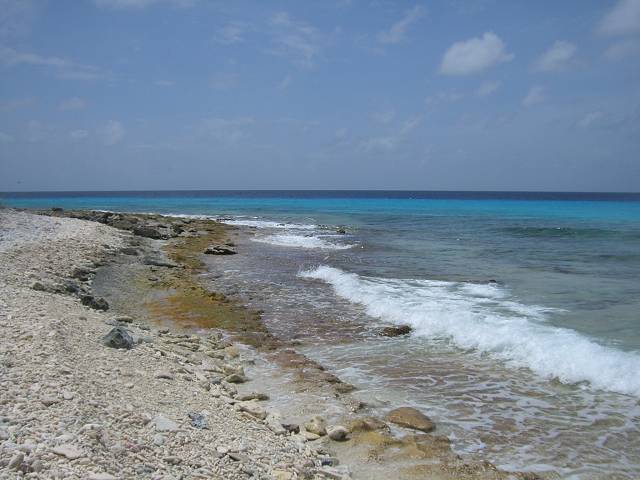 Bild 696
