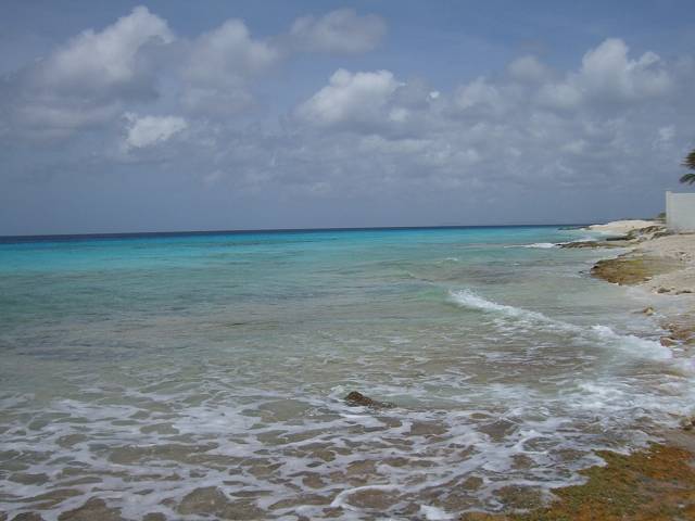 Bild 696