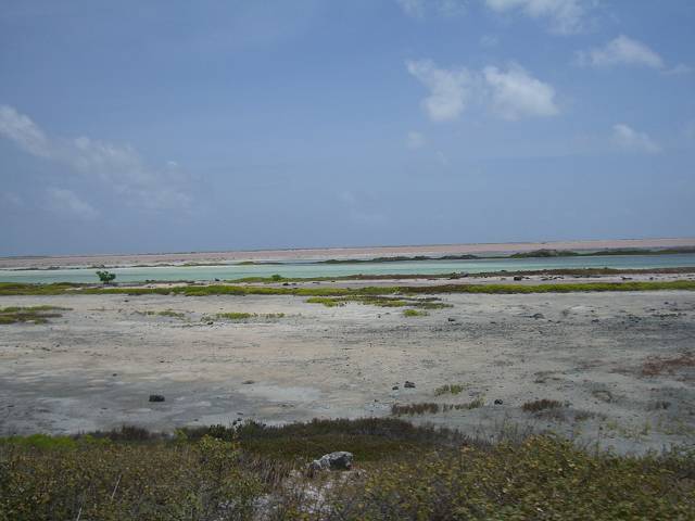 Bild 696