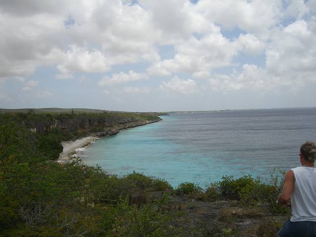 Bild 696