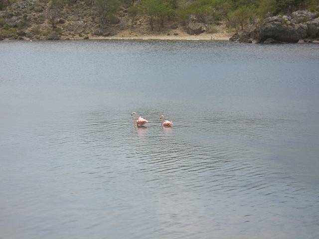Bild 696