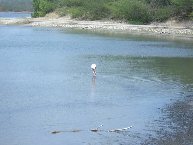 Bild 696
