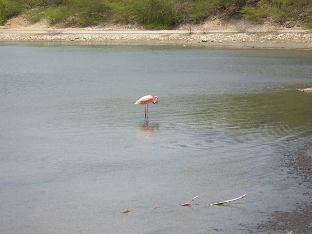 Bild 696