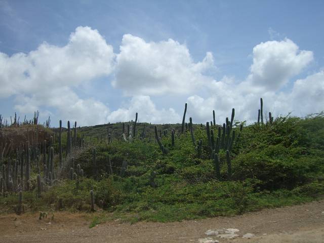 Bild 696