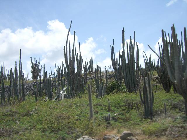 Bild 696