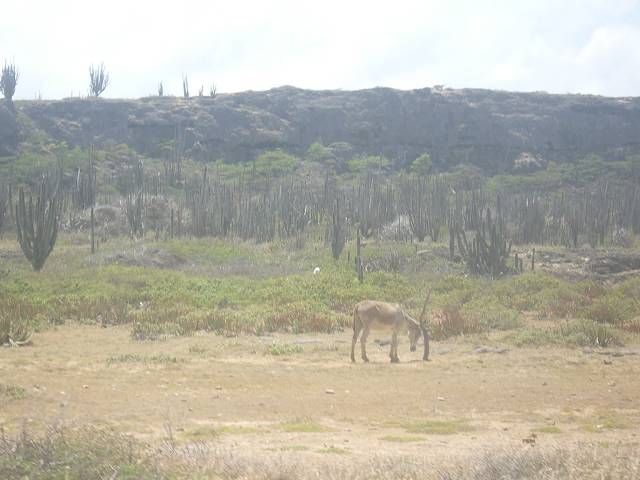 Bild 696