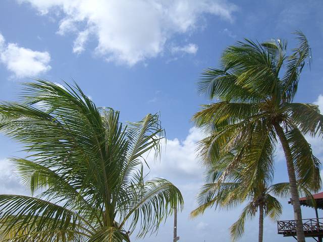 Bild 696