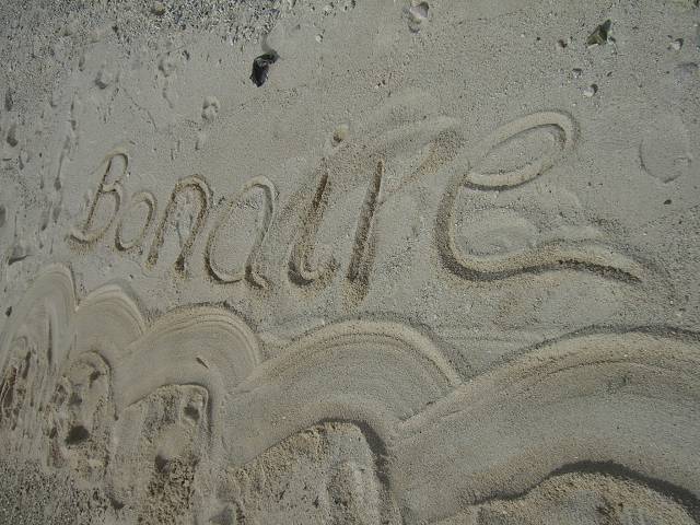 Bild 696