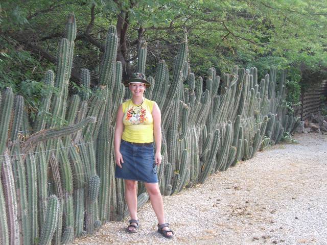 Bild 696