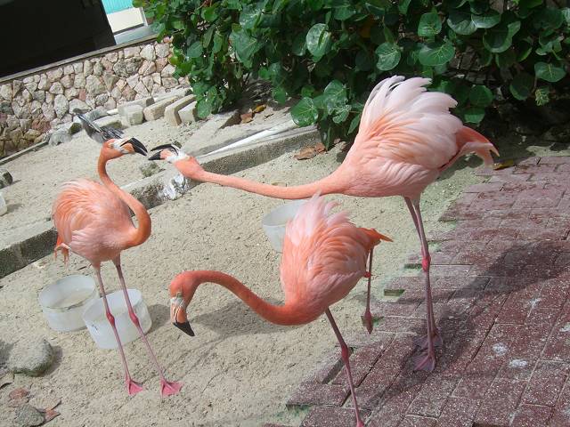 Bild 696