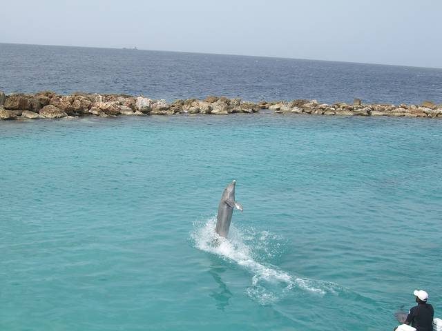 Bild 696