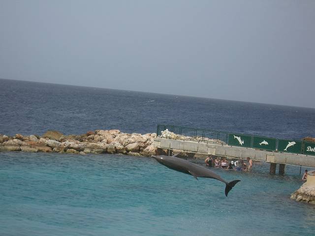 Bild 696