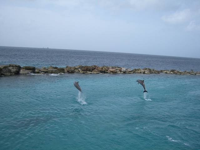 Bild 696